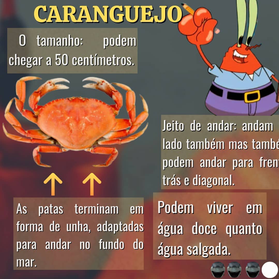 Qual A Diferen A Entre Siri E Caranguejo Biologia