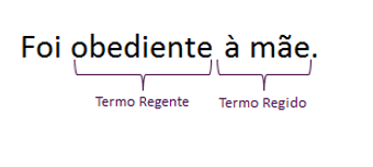 Reg Ncias Nominal E Verbal Portugu S