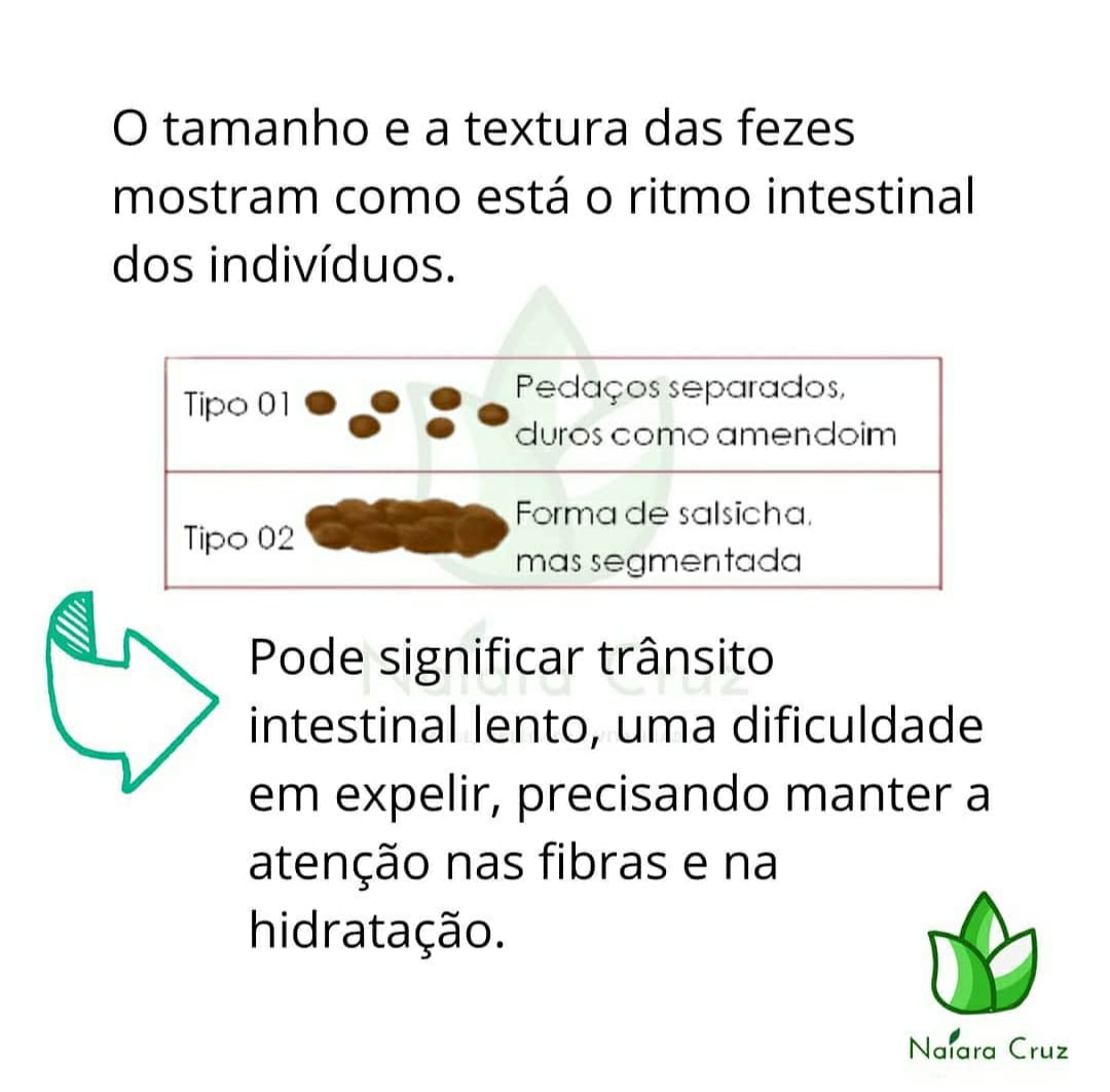 Tipos de fezes e seus significados Avaliação Nutricional I