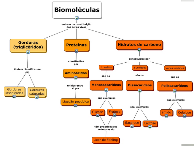 Biomoléculas Biologia Geral 6765