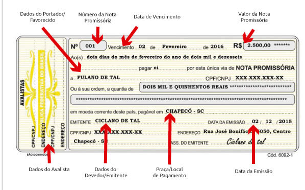 Entenda o que é nota promissória pro soluto e pro solvendo - Blueprint