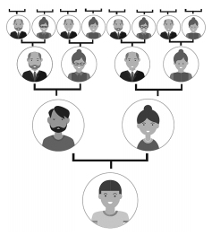 A Figura Ilustra A Rvore Geneal Gica De Uma Pessoa Composta Pelos Pais Quatro Av S Oito