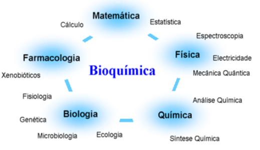 O Que é Bioquimica Estrutural