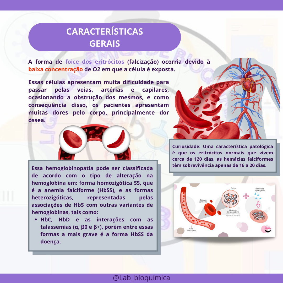 Caso Cl Nico De Anemia Falciforme Biologia Celular The Best Porn Website