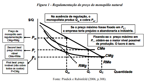 Explique a diferença entre bens públicos, monopólio natural e bens de  propriedade privada, citando um exemplo de cada - Ciência Política I