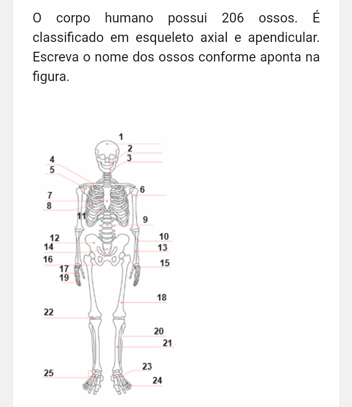 Escreva O Nome Dos Ossos Conforme Aponta Na Figura? - Anatomia Humana I